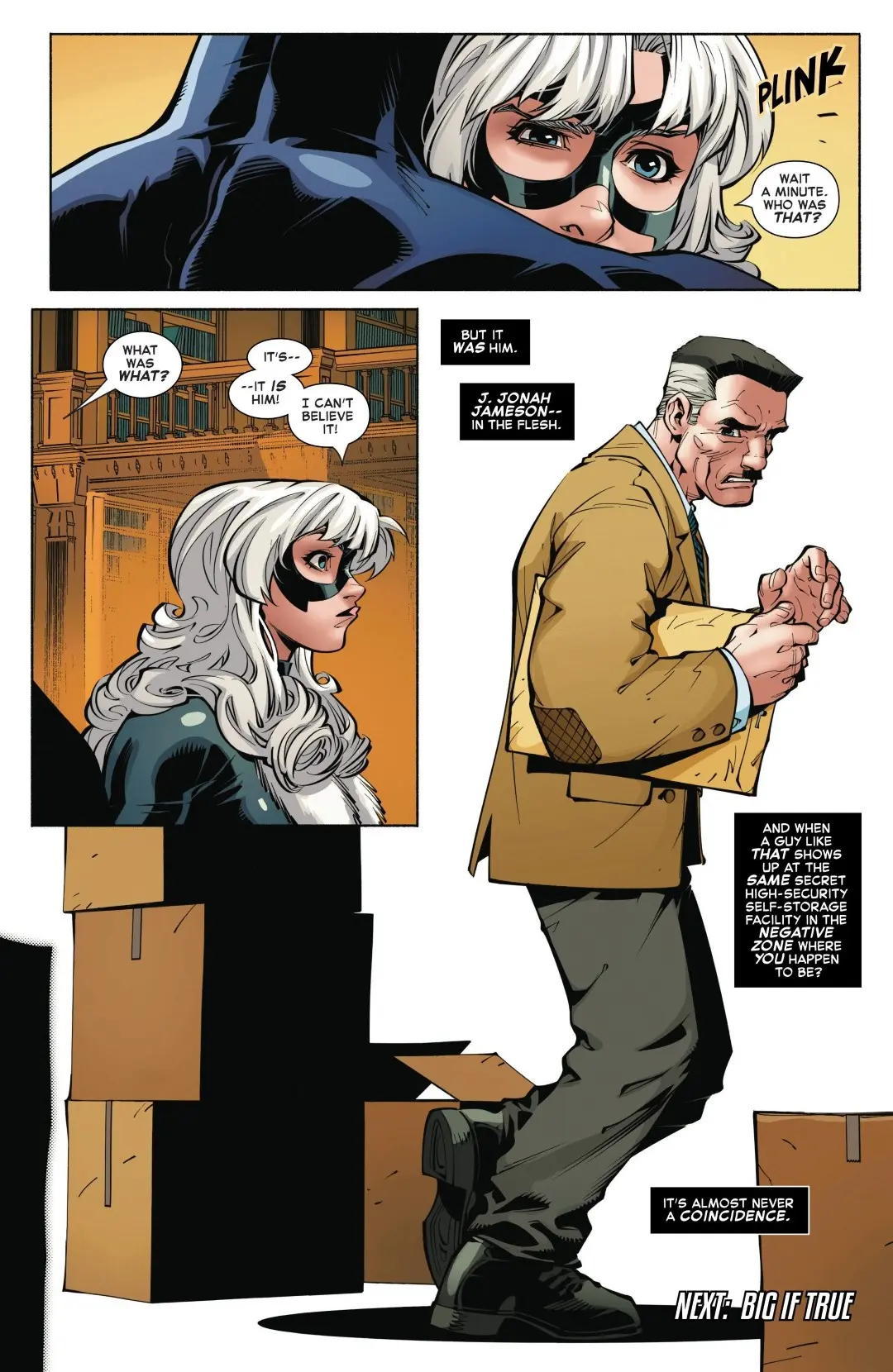Black Cat #9 (2026) - Page 22