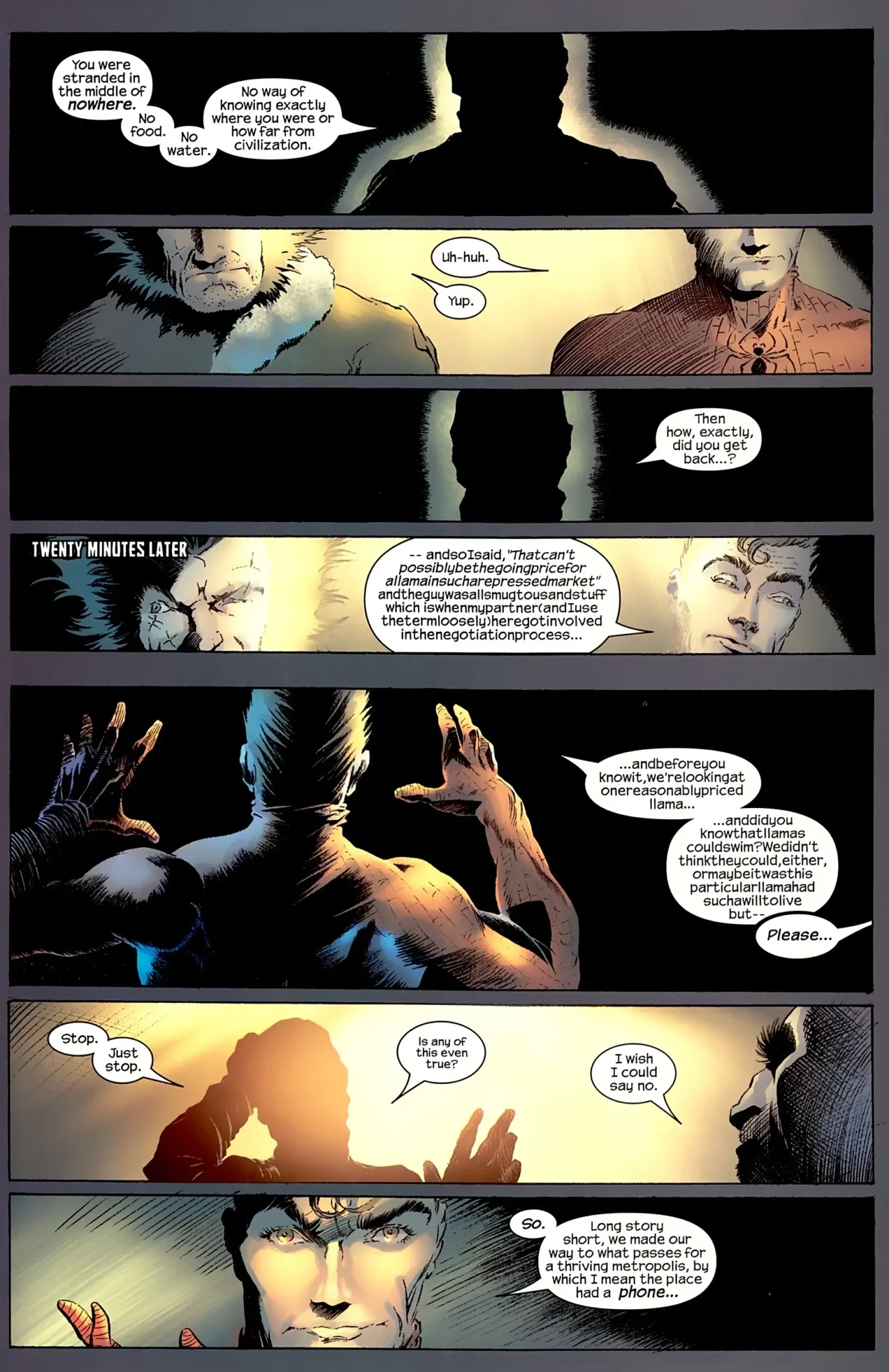 Spider-Man & Wolverine #2 (of 4) (2003) - Page 20