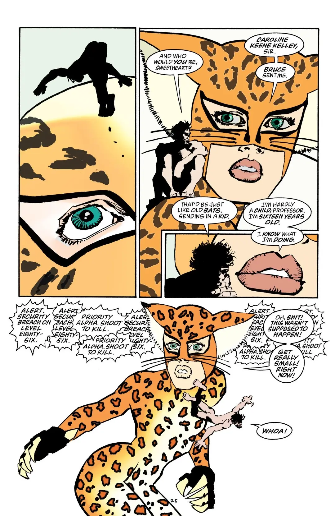 Batman - The Dark Knight Strikes Again (2002) - Page 23